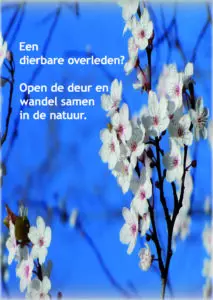 Flyer wandelen_Pagina_1 Flyer Wandelen bij rouw